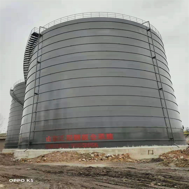 桐城3万吨大型钢板库