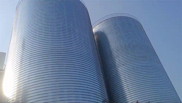 桐城2座混凝土高架卷板仓